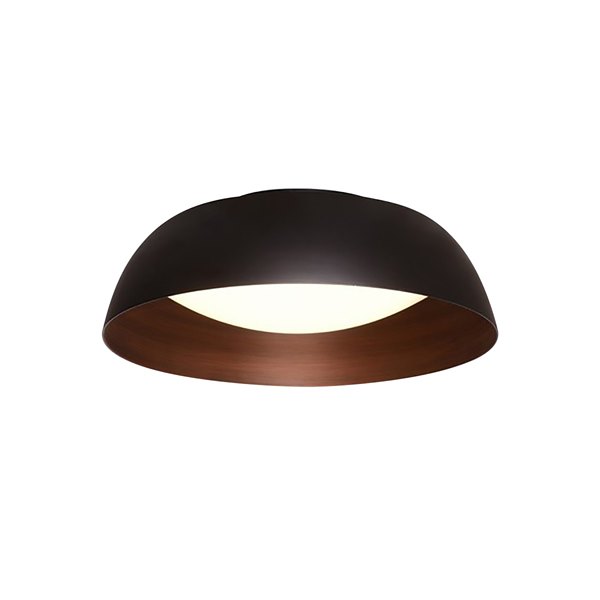 בר צמוד תקרה