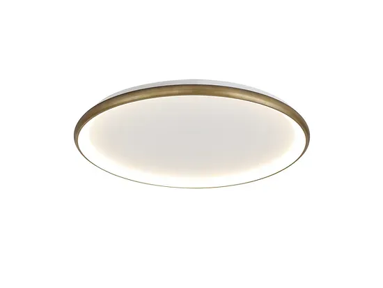 גוף צמוד תקרה פאלפון LAO